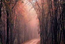 恰尔汗奥卢：很高兴升入欧国联A级，土耳其下一个目标参加世界杯.