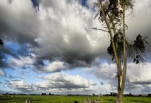 老刘志强秦志戬集体忽悠马龙当教练，这颜值不当教练可惜了.