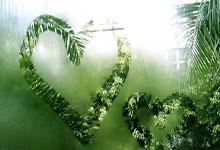 AE上山了！华语音乐巨星周杰伦现身F中国站现场.