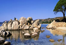 DO：博格巴再次回归曼联不在任何一方的议程上.